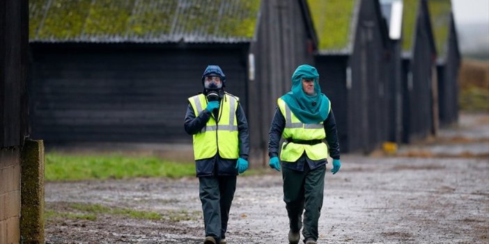 Artan Kuş Gribi Vakaları Nedeniyle İngiltere Genelinde 'önleme Bölgesi' İlan Edildi