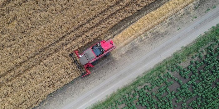 Çiftçi Kayıt Sistemi'ndeki Kadın Çiftçi Sayısı 290 Bine Yaklaştı