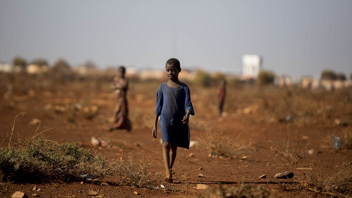 Somali'de Kuraklık, 7,8 Milyon Kişiyi Olumsuz Etkiliyor