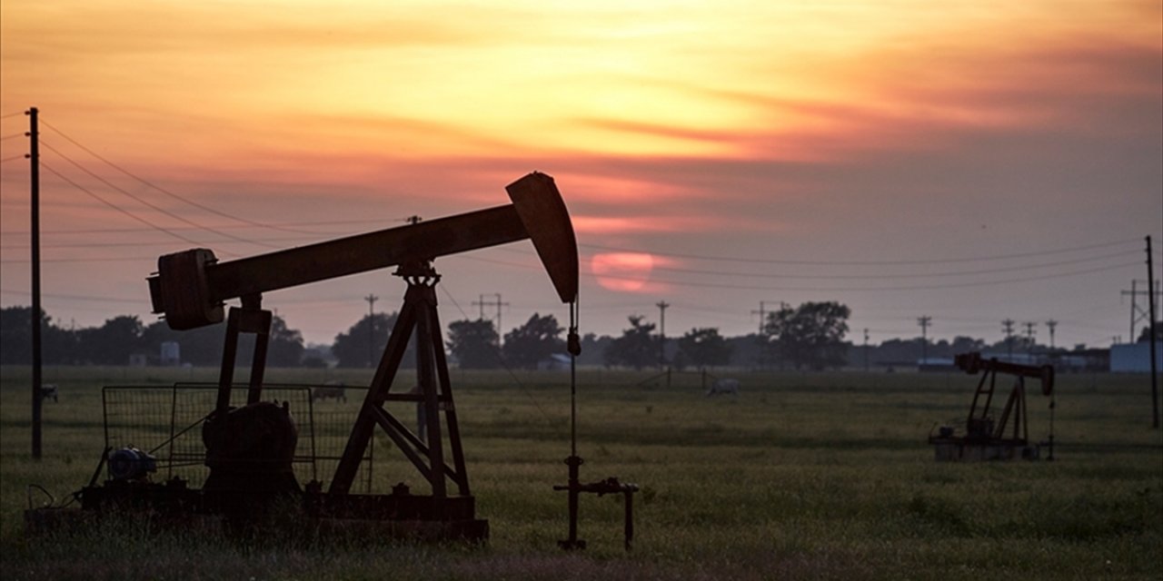 Opec: Petrol Piyasasında Krizi Önlemek İçin Uygun Zamanda Hareket Ettik