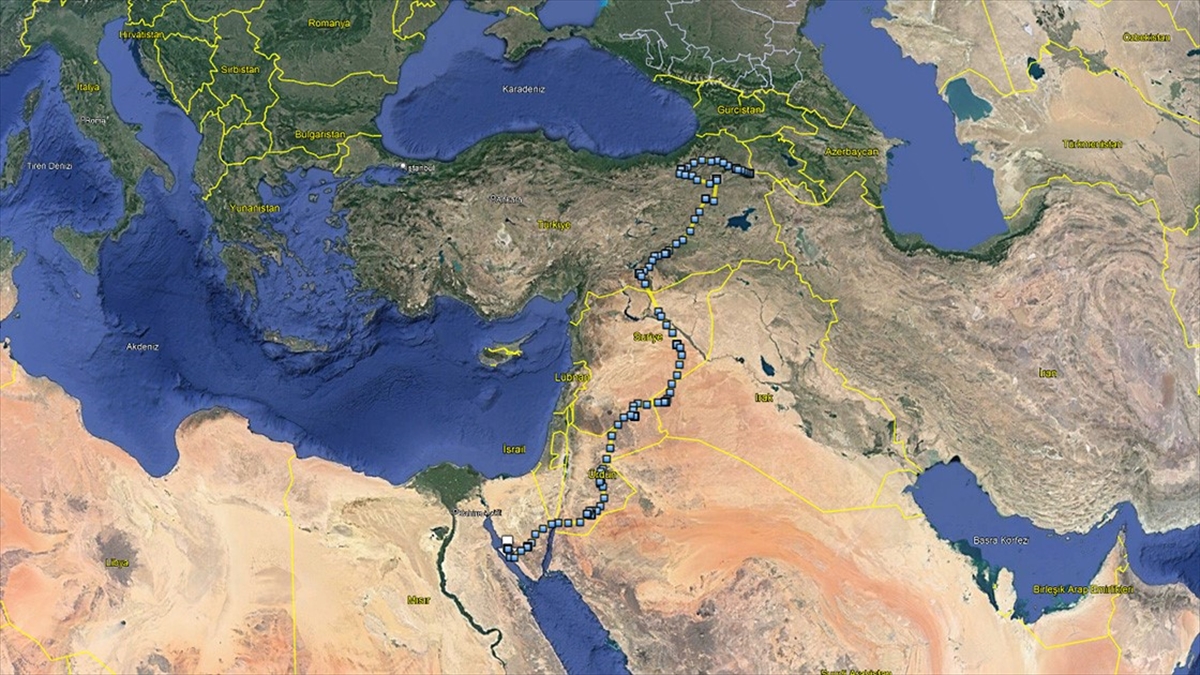 Iğdır'da Uydu Vericisiyle Takibe Alınan Bozkır Kartalı Mısır'a Ulaştı