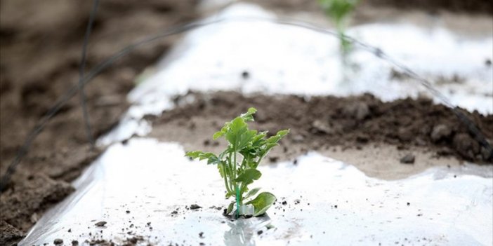 Yurdun İç Ve Doğu Kesimlerine Zirai Don Uyarısı