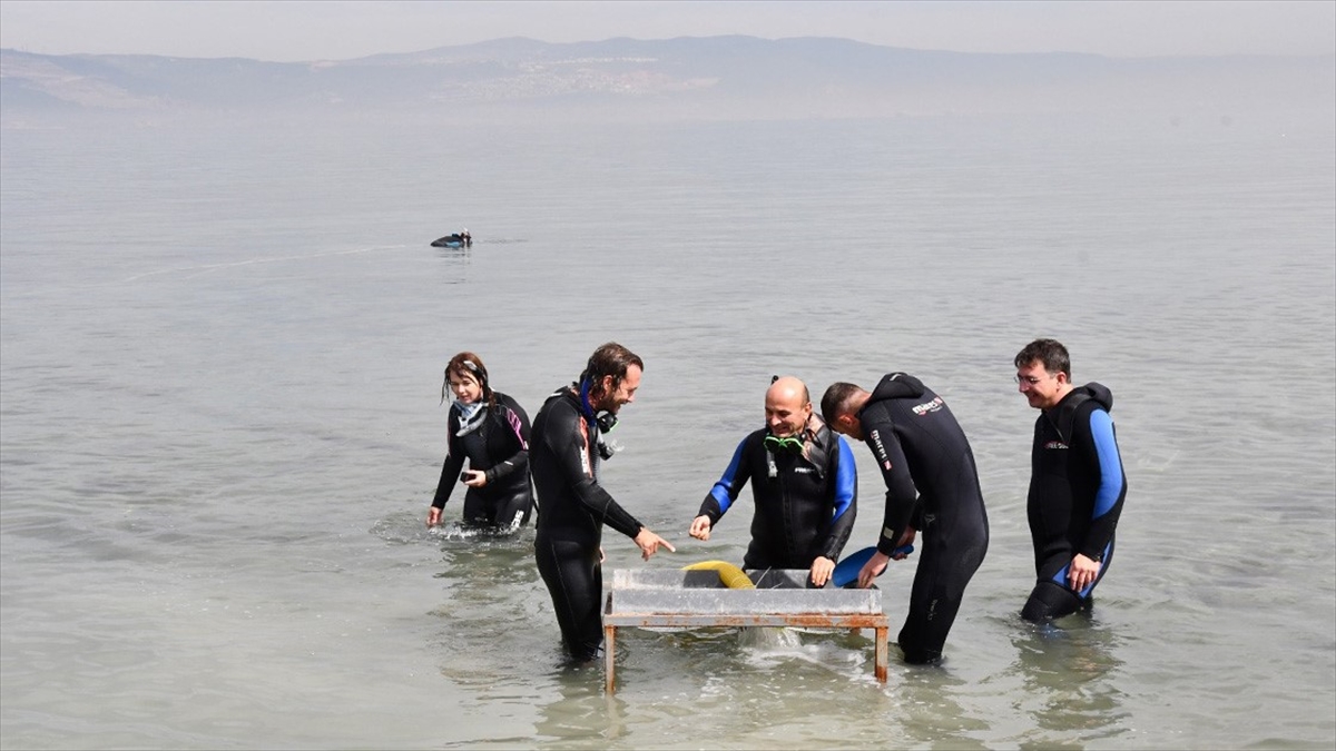 Marmara Denizi'ndeki Kibatos Batığında Zeytinyağı İşliği Ve Hamam Yapısı Bulundu