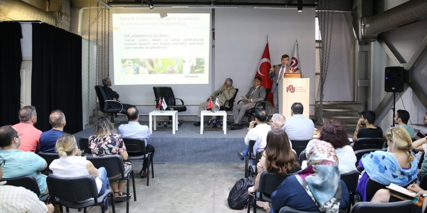 'Buğdayda Gdo Yok, Genleriyle Oynanmadı'