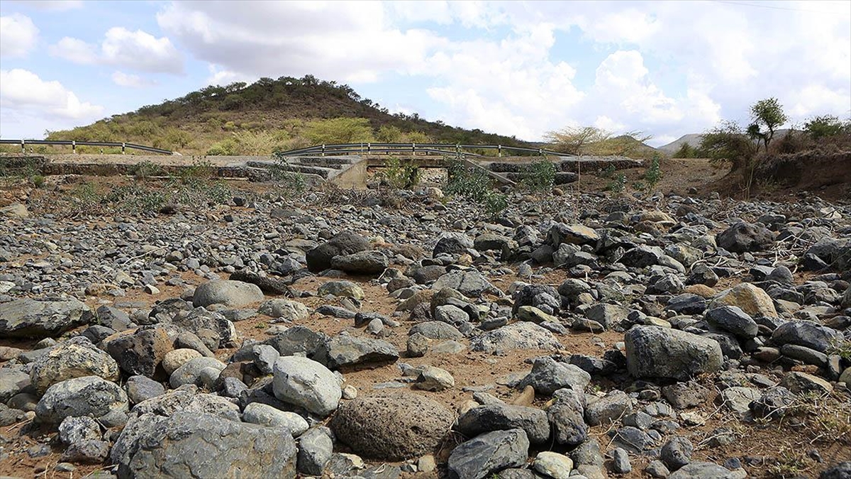 Kenya'da Kuraklık Yüzlerce Yaban Hayvanının Telef Olmasına Yol Açtı