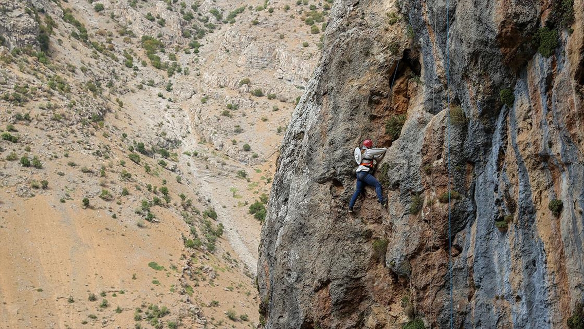 Zirvedeki 'kaya Balı'na Profesyonel Dağcılarla Ulaştılar