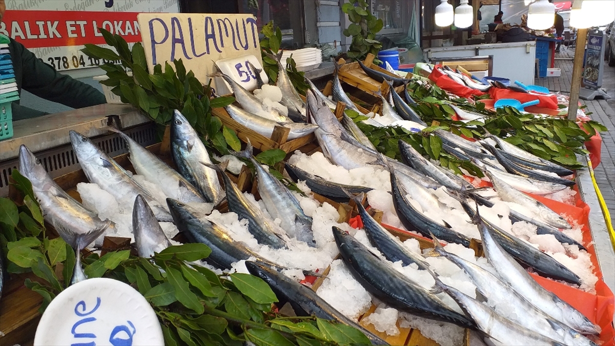 Batı Karadeniz'de Bolca Avlanan Torik, Tezgahlarda Yerini Aldı