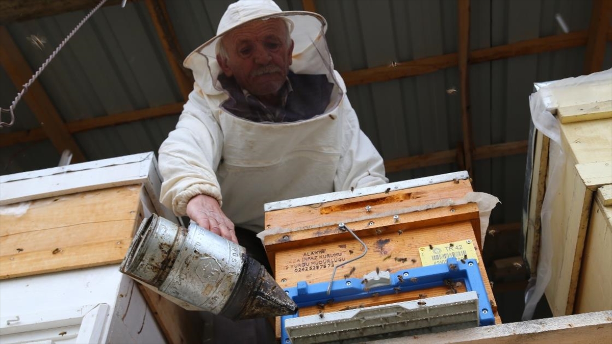 Toroslarda 40 Yıldır Bal Üreterek 7 Çocuk Yetiştirdi