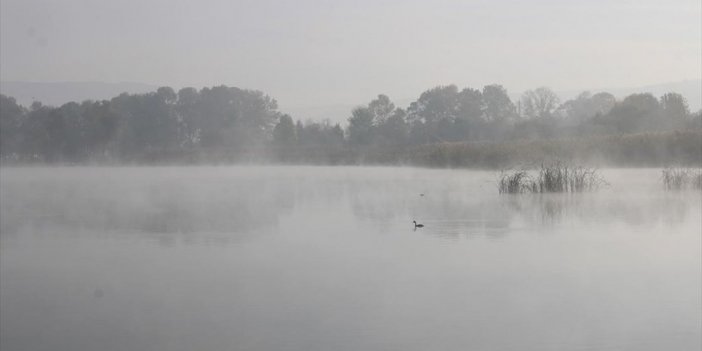 Yeniçağa Kuş Cenneti'nde Sis Güzel Görüntü Oluşturdu