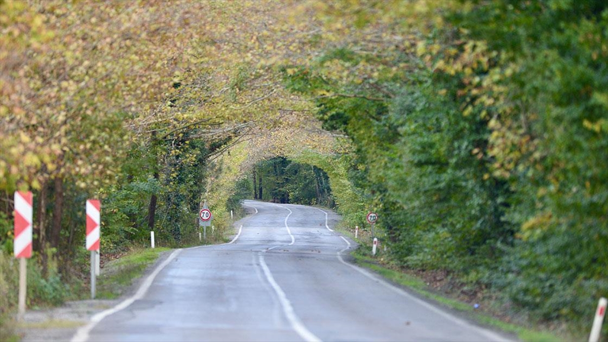 Karabük Ormanlarında Sonbahar Güzelliği