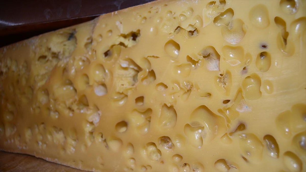 Trakyalı Ve Karslı Kaşar Üreticileri Rekabette