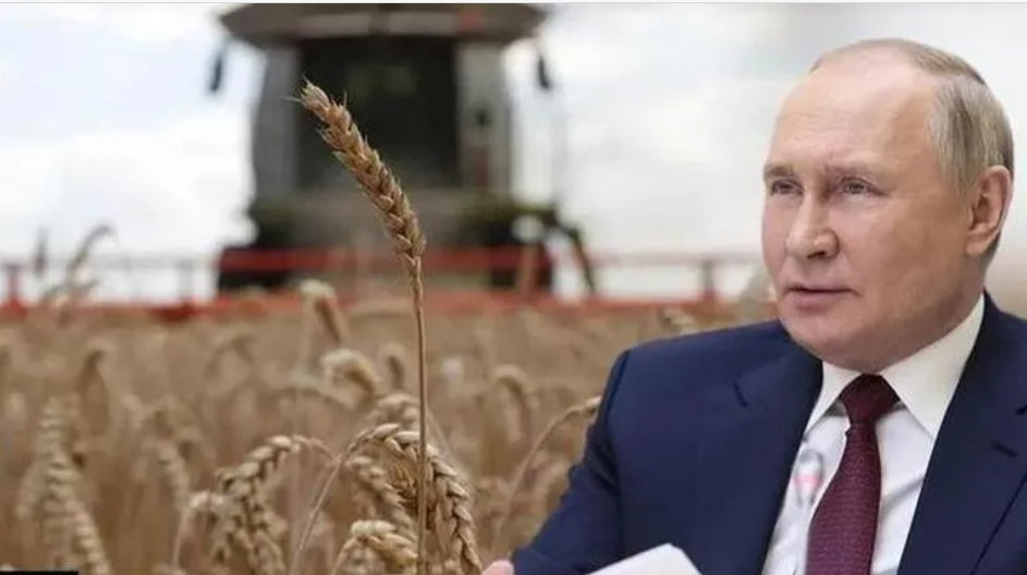 Putin, tahıl anlaşmasını askıya almıştı: AB ve ABD resmen yalvardı