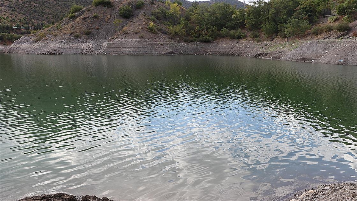 Su Kaynaklarına Bu Yıl Bırakılan Yavru Balıkların Sayısı 84 Milyonu Geçecek