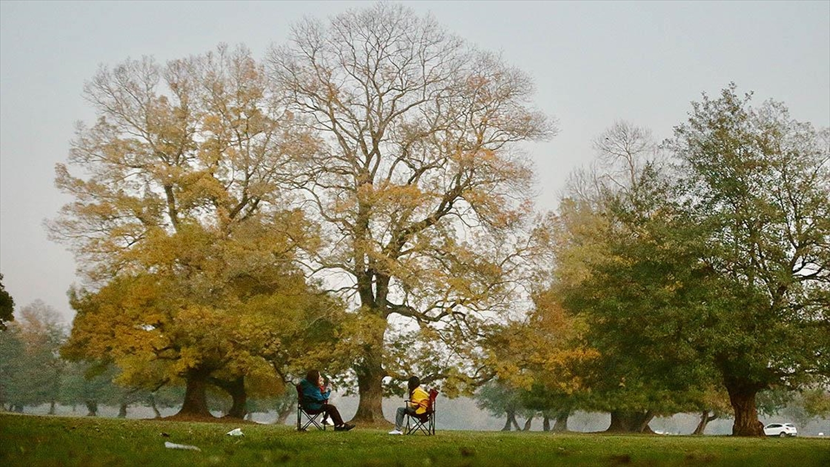 Son 8 Yılın Dünyadaki En Sıcak Yıllar Olabileceği Hesaplanıyor
