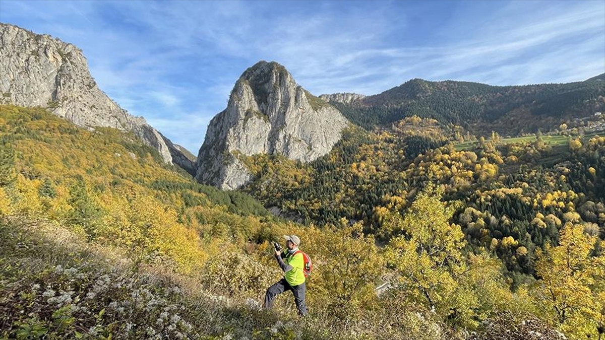 Küre Dağları'na Sonbaharın Renkleri Hakim Oldu