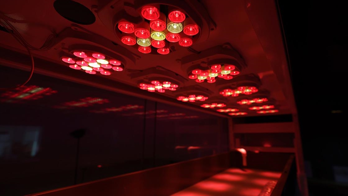 Topraksız Tarımla Daha Kaliteli Ürün İçin 'güneşi Taklit Eden Teknoloji' Geliştirdi