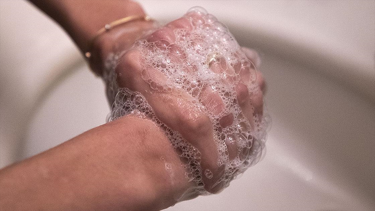 Kuduz Şüphesinde, Yaranın Basınçlı Su Ve Sabunla Yıkanması Hayat Kurtarıyor