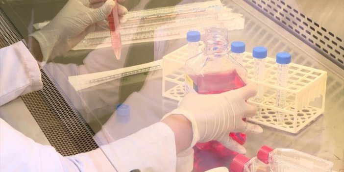 Açık Yaraya Temas Eden Hayvan Salyası Da Kuduza Neden Olabiliyor