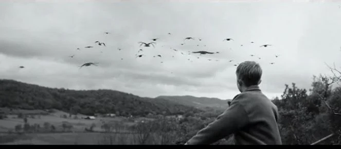 Koç'tan koç gibi Atatürk videosu görenleri duygulandırdı