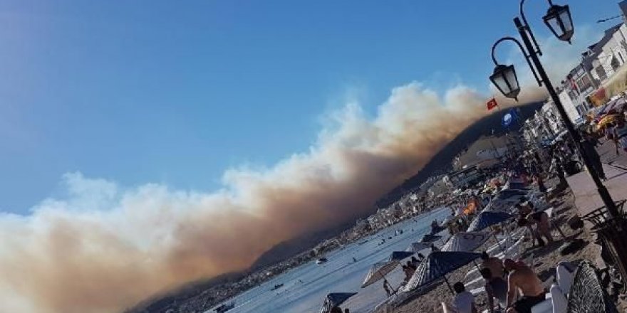 İzmir Dikili İlçesinde Orman Yangını