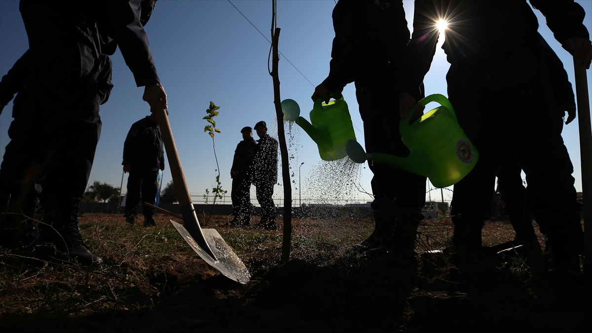 "Milli Ağaçlandırma Günü"nde Fidanlar Toprakla Buluşturuldu