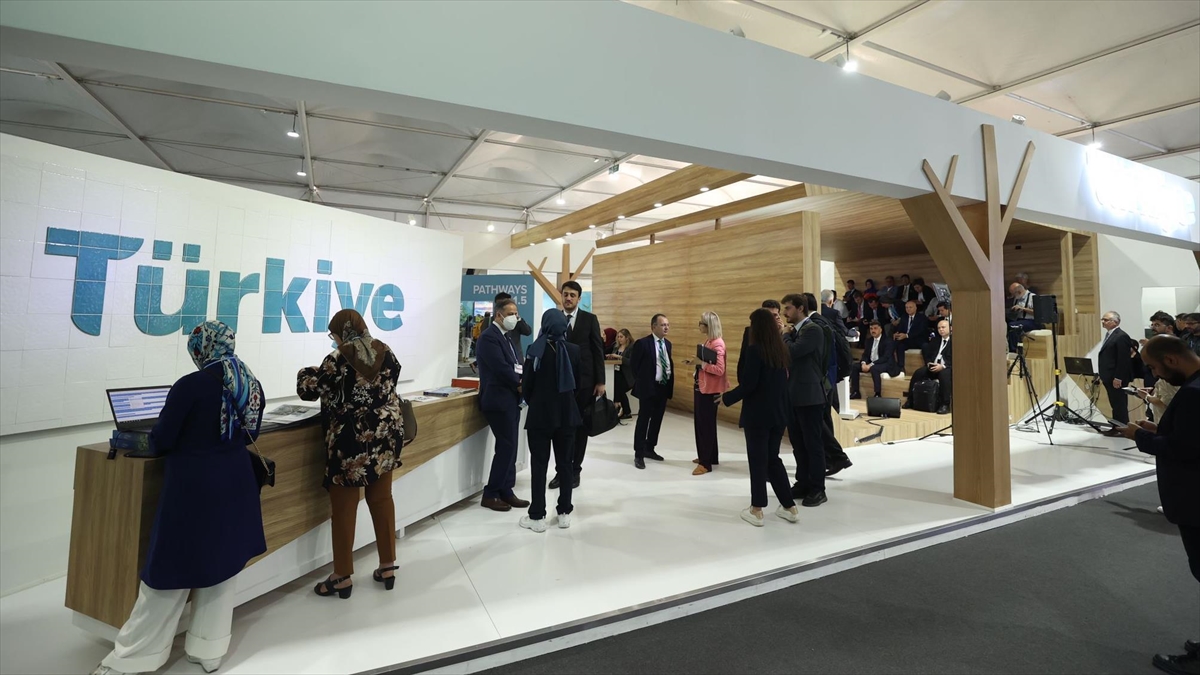 Türkiye'nin Uydudan Takip Ettiği Caretta Carettalar Cop27'de İlgi Odağı Oldu