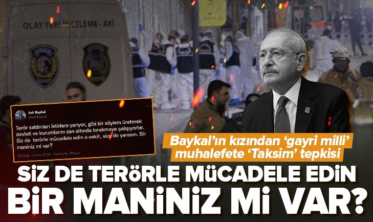 Aslı Baykal'dan muhalefete 'Taksim' eleştirisi: Siz de terörle mücadele edin bir maniniz mi var?.