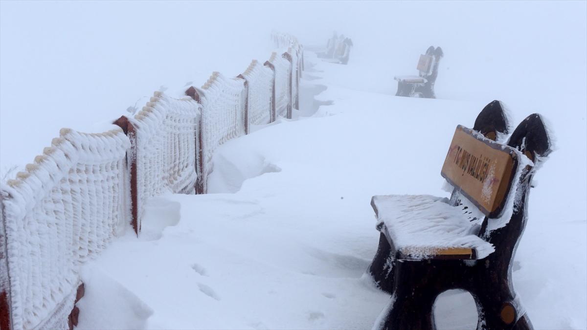 Van İle Muş'ta Kar Ve Sis Etkili Oldu