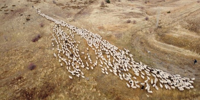Erzincan'da Göçerlerin Yayladan Zorlu Dönüş Yolculuğu Başladı