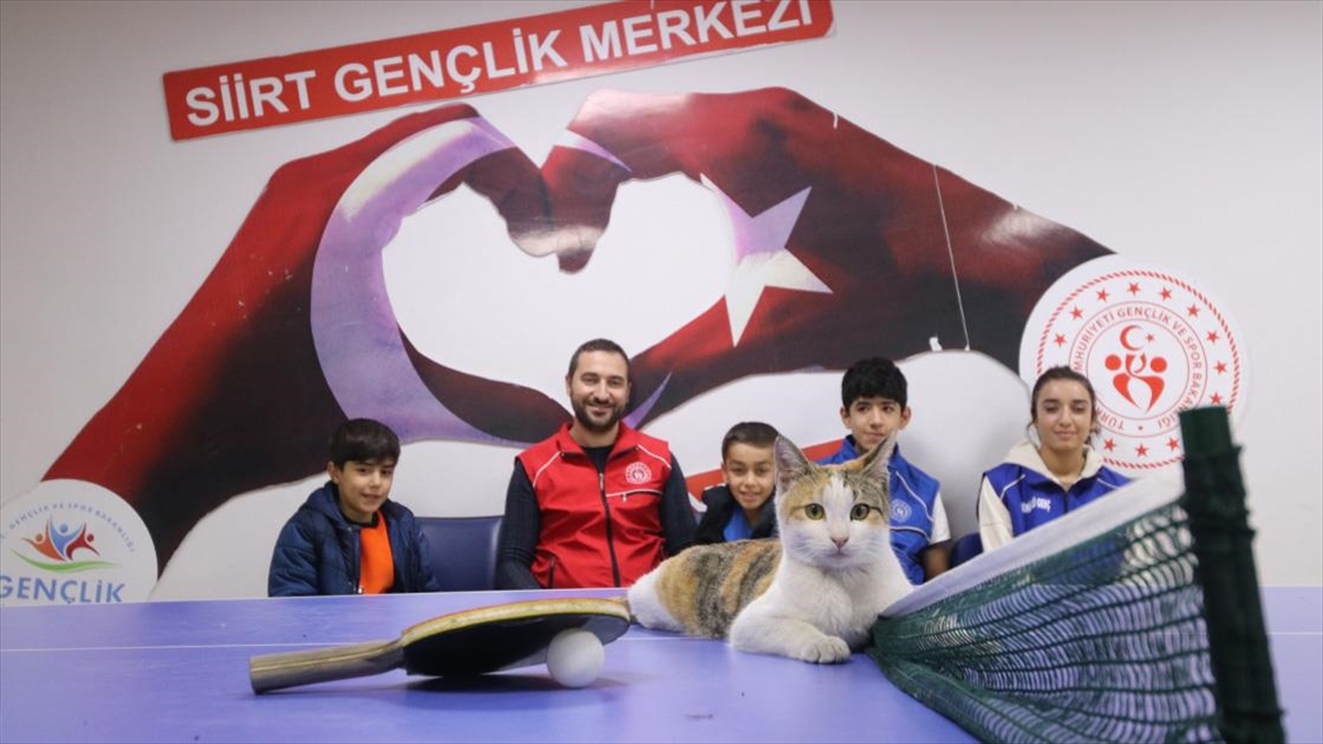 'Gönüllü Pati' Siirt Gençlik Merkezinin Neşesi Oldu