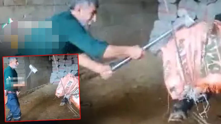 Konya’daki rezaletten sonra iki ilden korkunç görüntüler! Balyozla başına defalarca vurdu; boğmaya çalıştı...