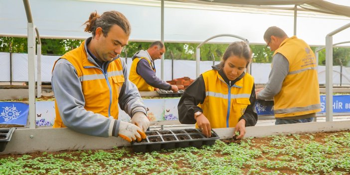 Aydın Büyükşehir Aydın'ı Renklendiren Çiçekleri Kendi Üretiyor