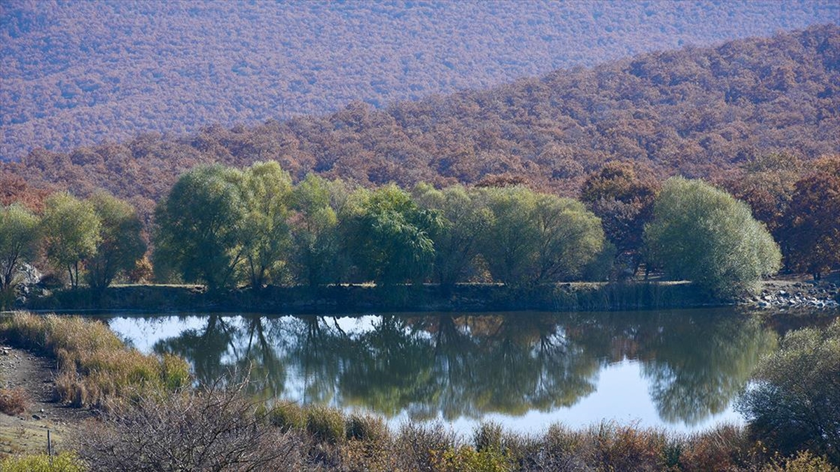 Kırşehir'in Meşe Ormanıyla Kaplı Küçük İlçesi: Akçakent