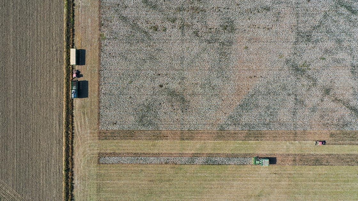 Tarımsal Desteklerin Artırılması Üretimde Sürdürülebilirliği Sağlayacak