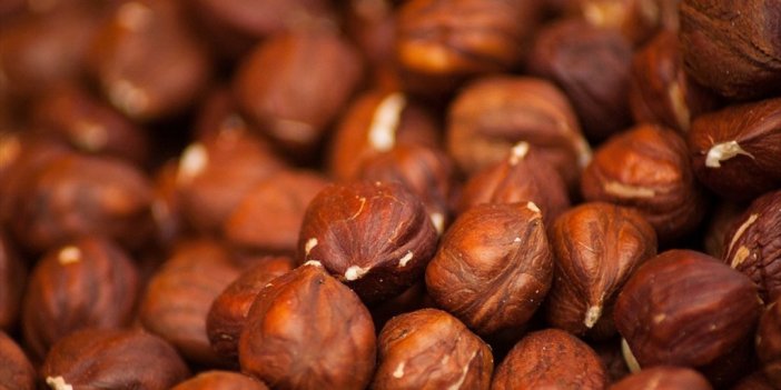 Doğu Karadeniz'den 11 Ayda Yapılan İhracat 1,3 Milyar Dolara Yaklaştı