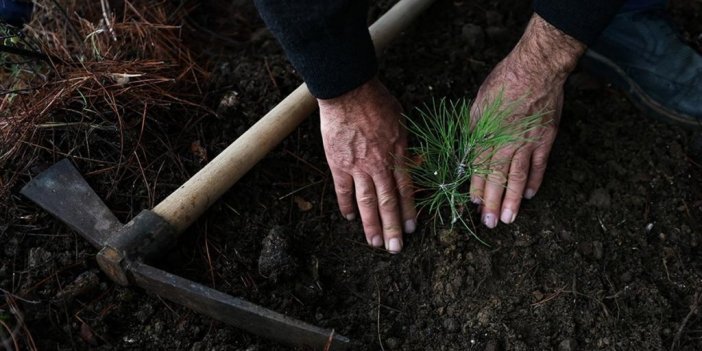Emekli Oldu, Yine De Ormandan Kopmadı