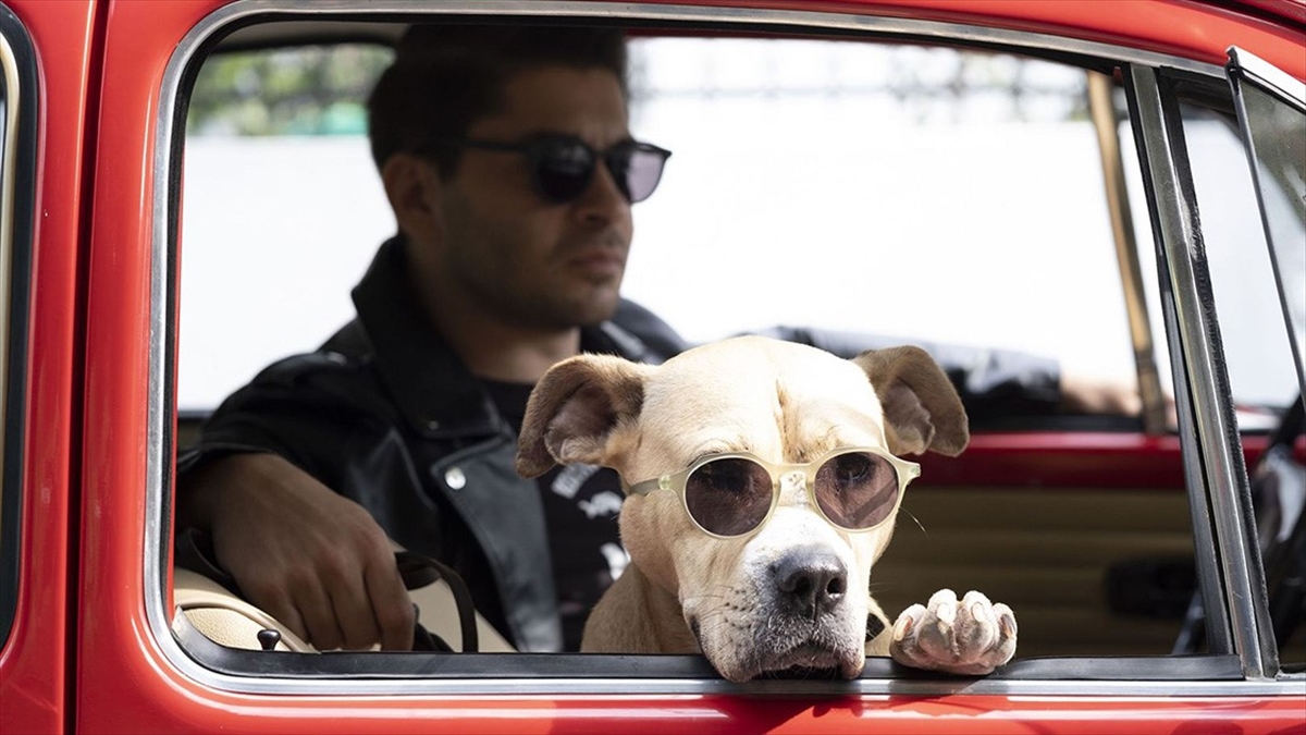 'Dikkat Köpek Var' 30 Aralık'ta Vizyona Girecek