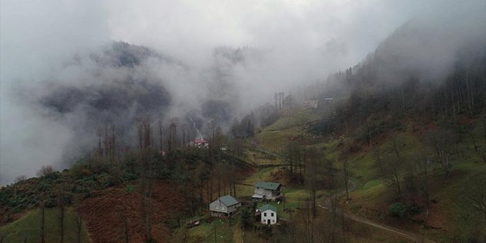Trabzon'un 'hıdırnebi Yaylası' Sis Altındaki Güzelliğiyle Ziyaretçilerini Karşılıyor
