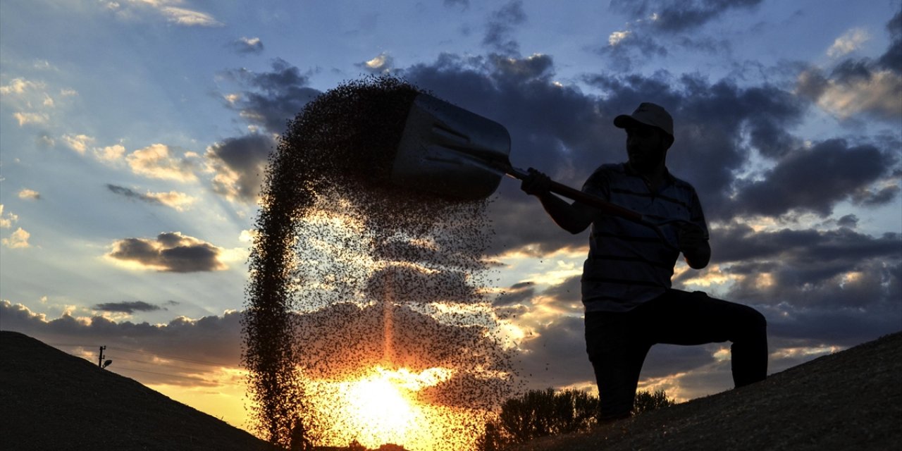 Hububat Ve Bakliyat İhracatı 10 Milyar Doları Aştı