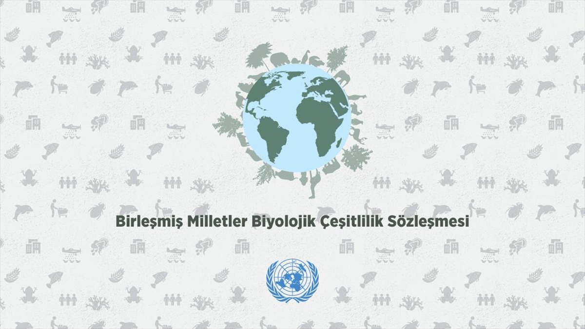 Türkiye, Bm Biyolojik Çeşitlilik Sözleşmesi'nin 2024-26 Dönem Başkanlığını Yürütecek