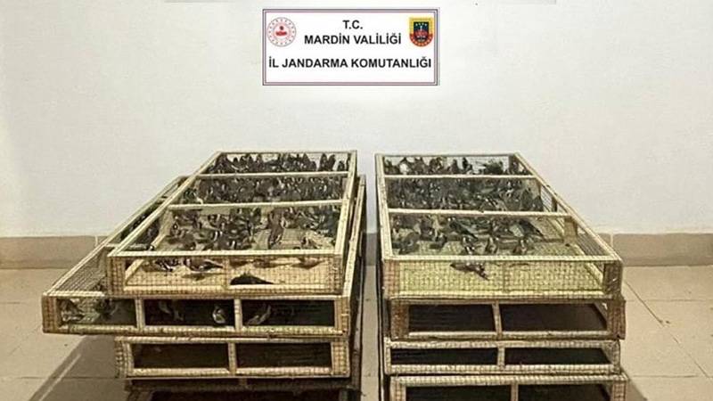 Bin adet saka kuşu bulunduran kişiye1 milyon 200 bin lira ceza kesildi