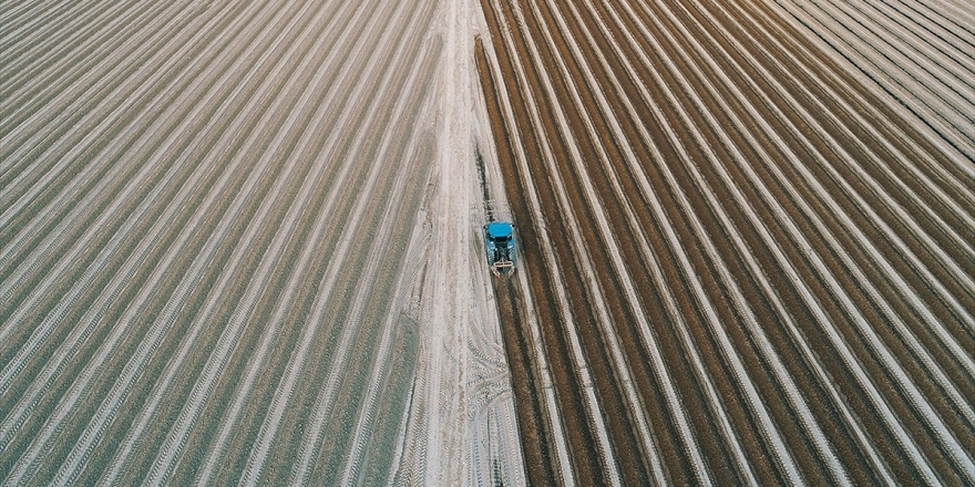Tarıma Uygun Topraklar Taşınarak Korunacak