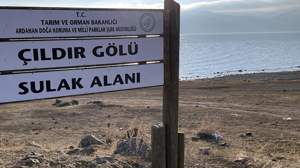 Çıldır Gölü'nün Tamamen Donması Havaların Sıcak Gitmesi Nedeniyle Henüz Gerçekleşmedi