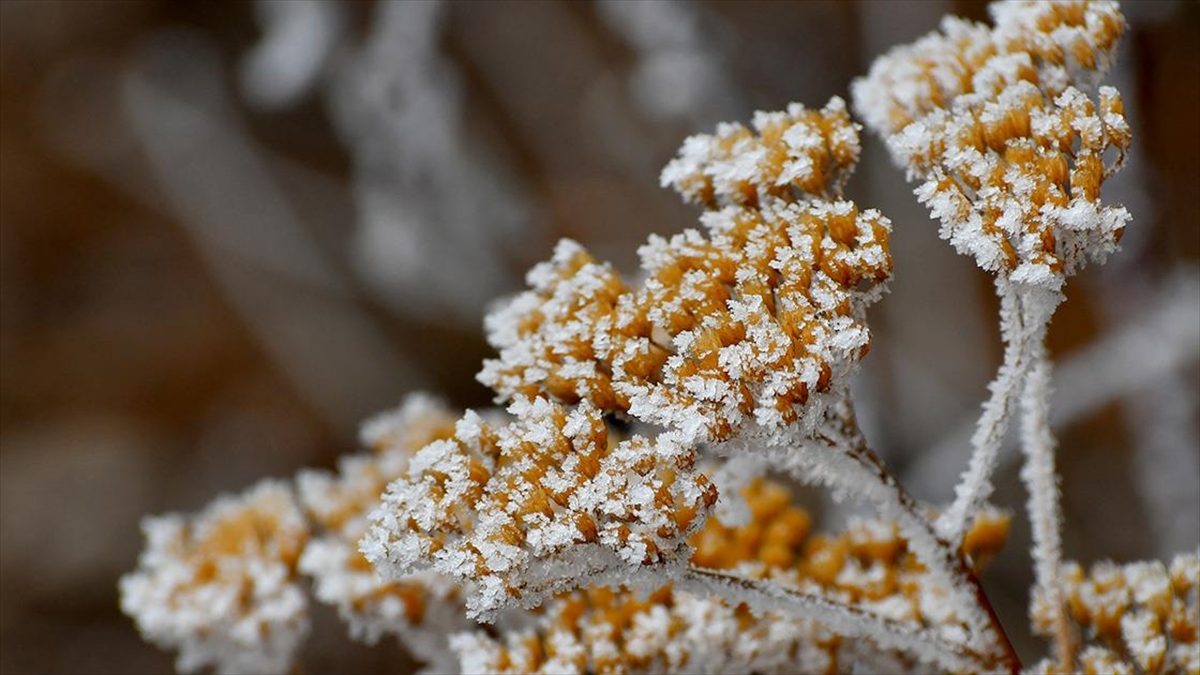 Doğu Anadolu'da Soğuk Hava Ve Kar Etkili Oluyor