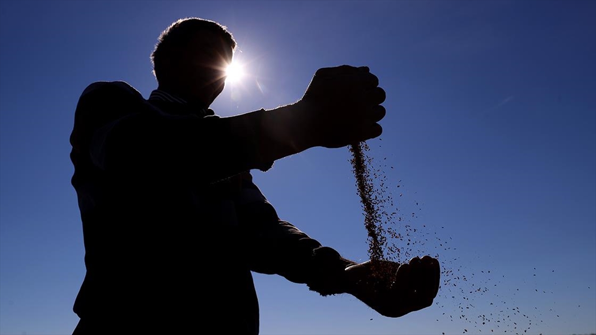 Tohumculuk Sektörü 2025 İhracat Hedefine Bir Adım Daha Yaklaştı