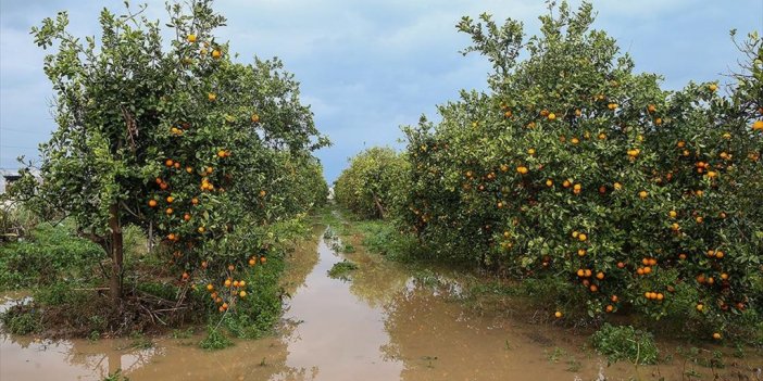 Antalya'da Yılın En Yüksek Yağış Değeri Selin Etkilediği Finike'de Ölçüldü