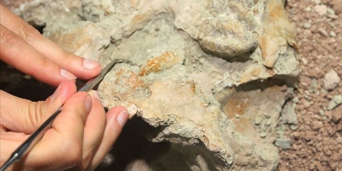 Bilim İnsanları, 2022'deki Keşifleriyle Tarihe Işık Tuttu