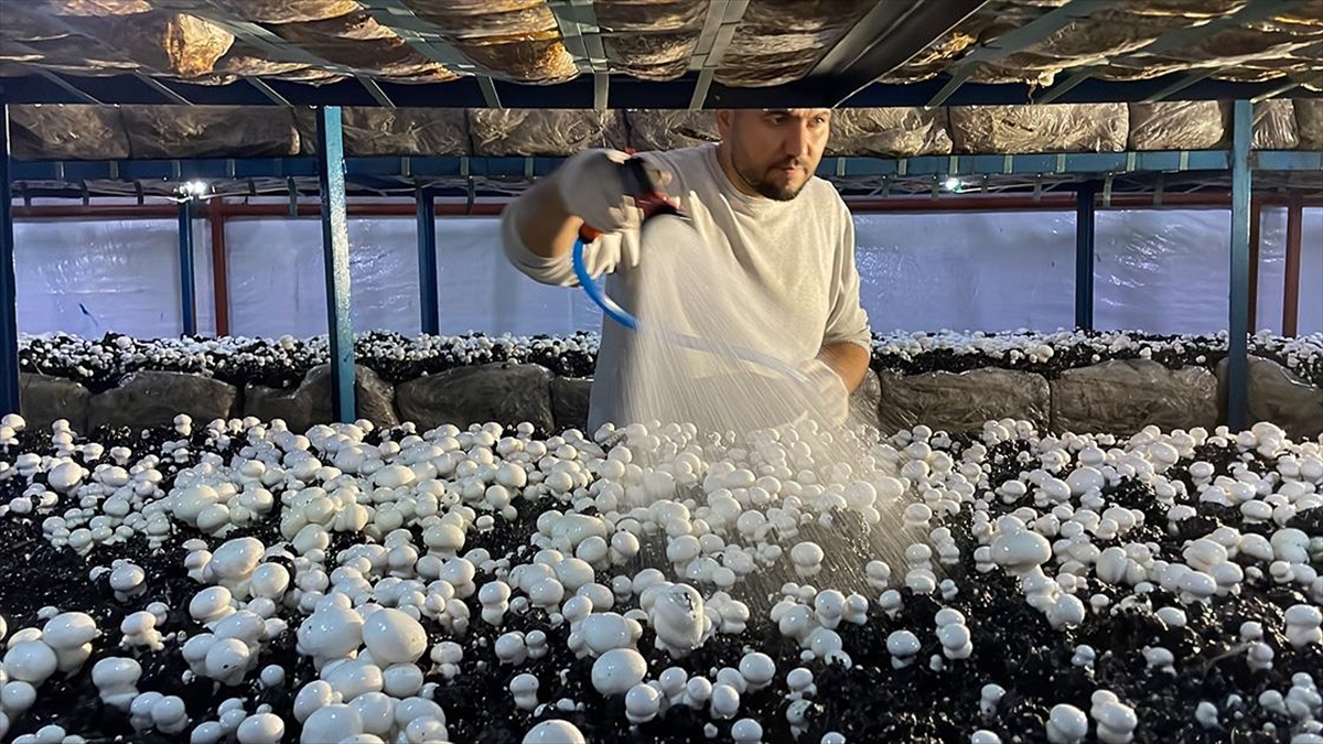 Girişimci Yüksek Ziraat Mühendisi, Devlet Desteğiyle İşini Büyüttü