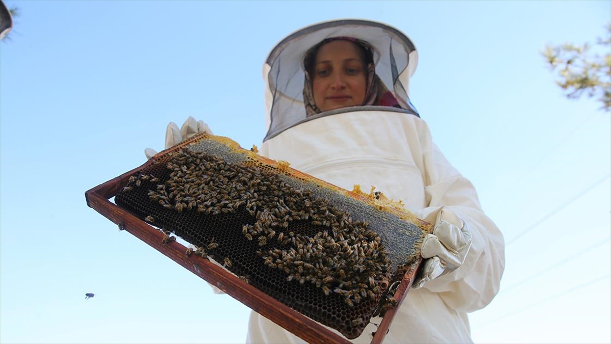 Mardinli Kadın Devletin Hibe Desteğiyle Gezgin Arıcı Oldu