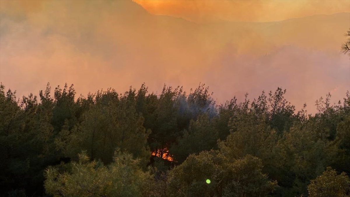 Osmaniye'de Çıkan Orman Yangınına Müdahale Ediliyor